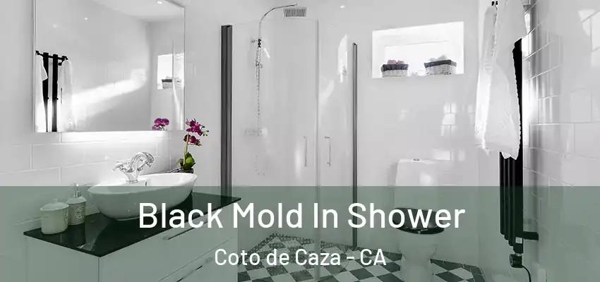  Black Mold In Shower Coto de Caza - CA