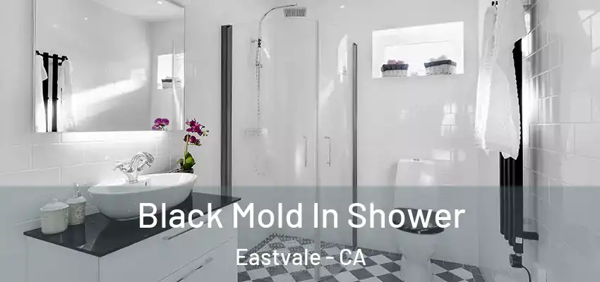  Black Mold In Shower Eastvale - CA