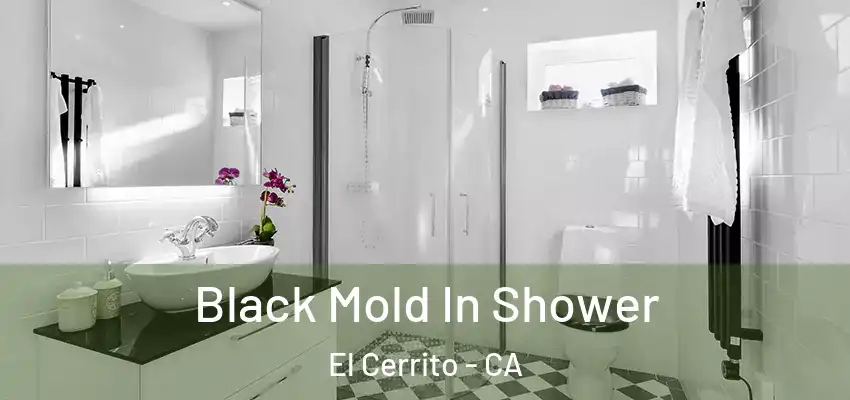  Black Mold In Shower El Cerrito - CA