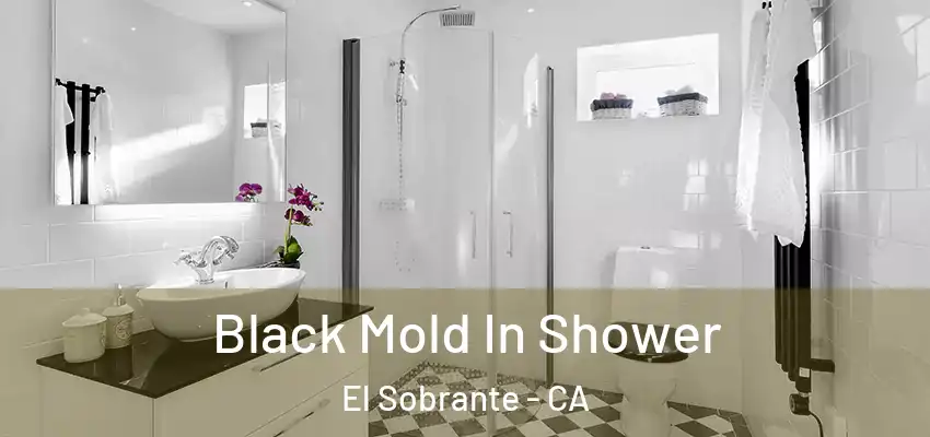 Black Mold In Shower El Sobrante - CA