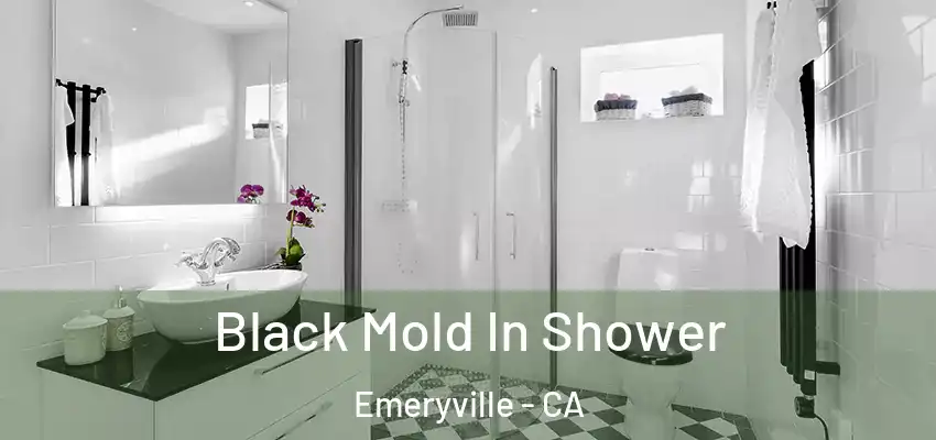  Black Mold In Shower Emeryville - CA