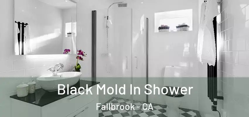  Black Mold In Shower Fallbrook - CA