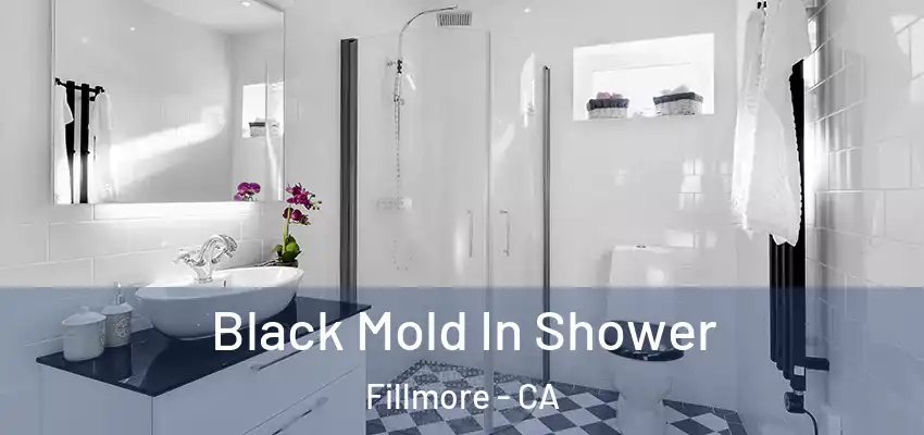  Black Mold In Shower Fillmore - CA