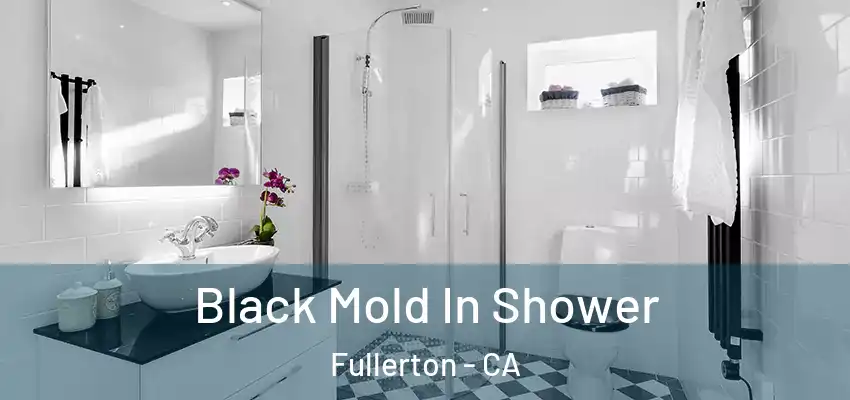  Black Mold In Shower Fullerton - CA
