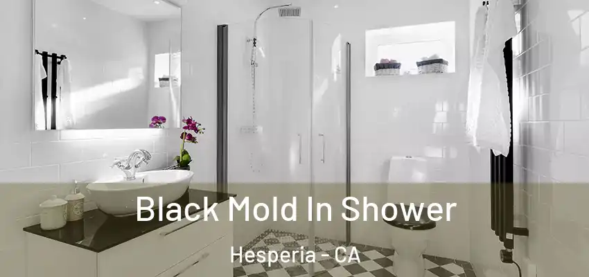  Black Mold In Shower Hesperia - CA