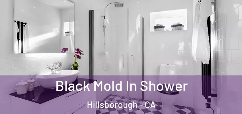  Black Mold In Shower Hillsborough - CA