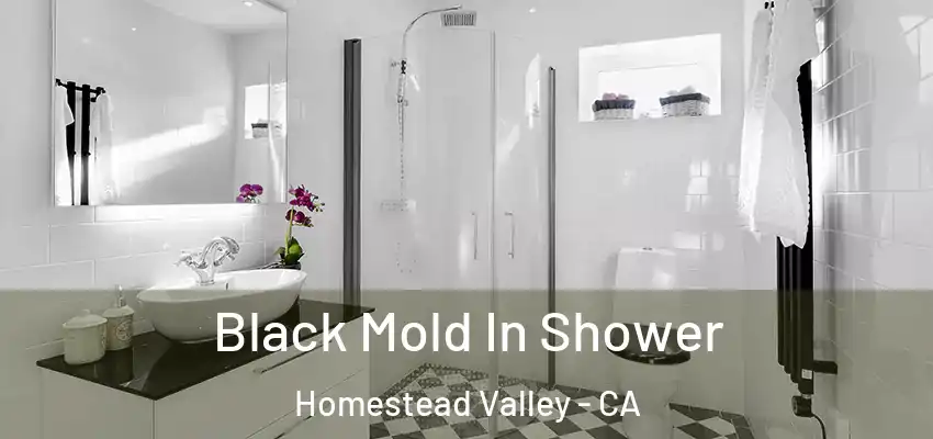  Black Mold In Shower Homestead Valley - CA