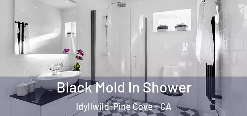  Black Mold In Shower Idyllwild-Pine Cove - CA