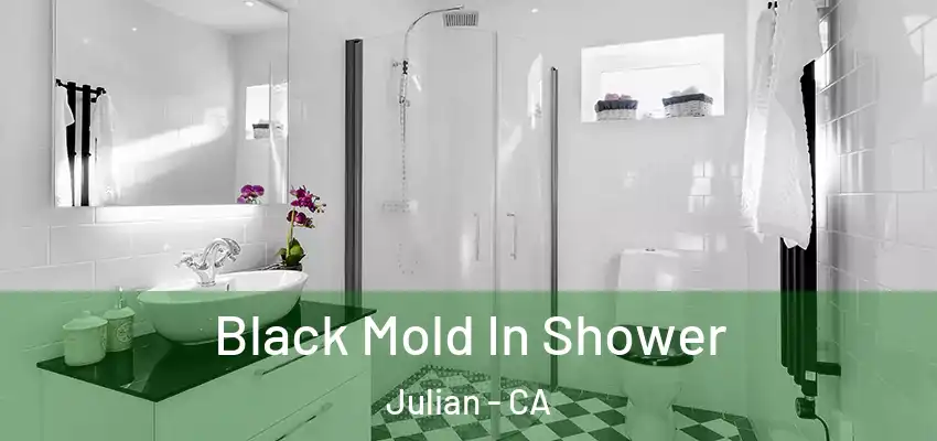  Black Mold In Shower Julian - CA