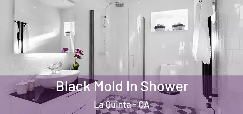  Black Mold In Shower La Quinta - CA
