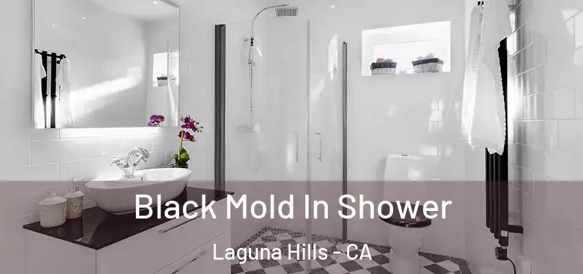  Black Mold In Shower Laguna Hills - CA