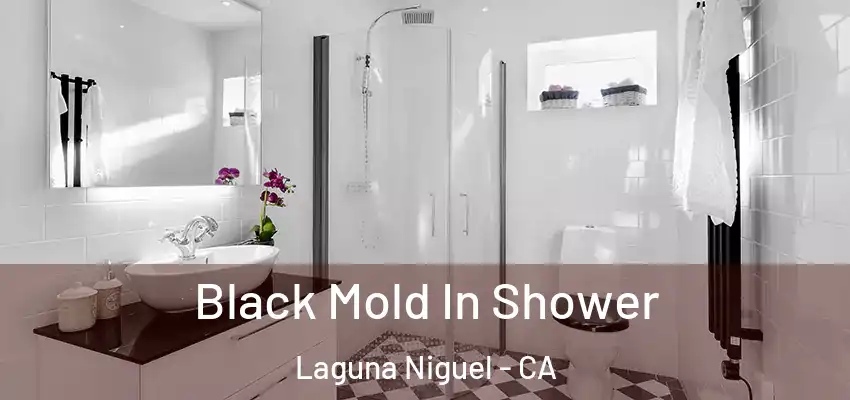  Black Mold In Shower Laguna Niguel - CA