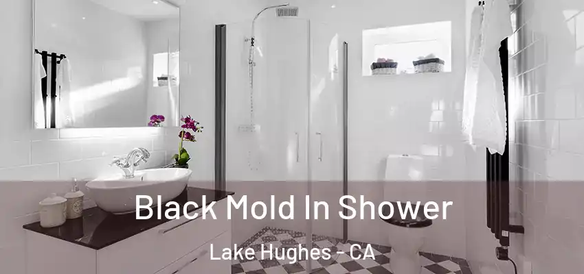  Black Mold In Shower Lake Hughes - CA