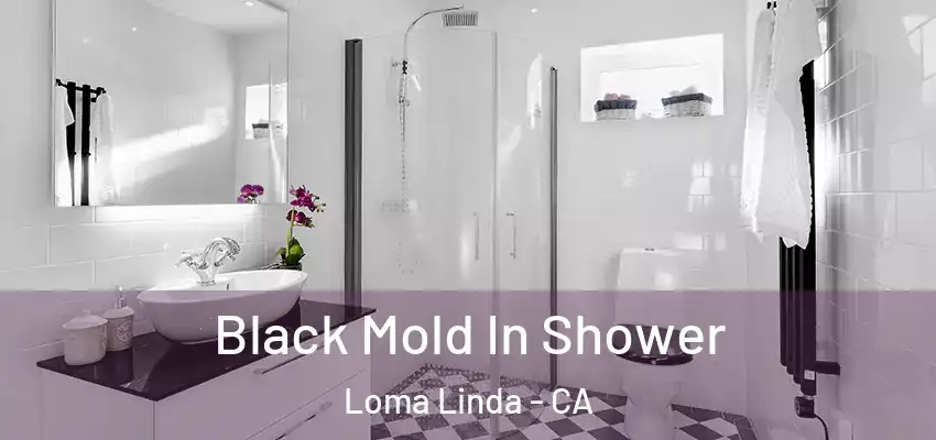  Black Mold In Shower Loma Linda - CA