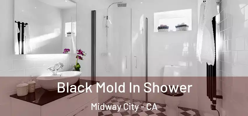  Black Mold In Shower Midway City - CA