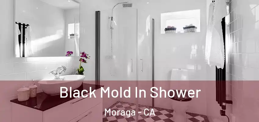  Black Mold In Shower Moraga - CA