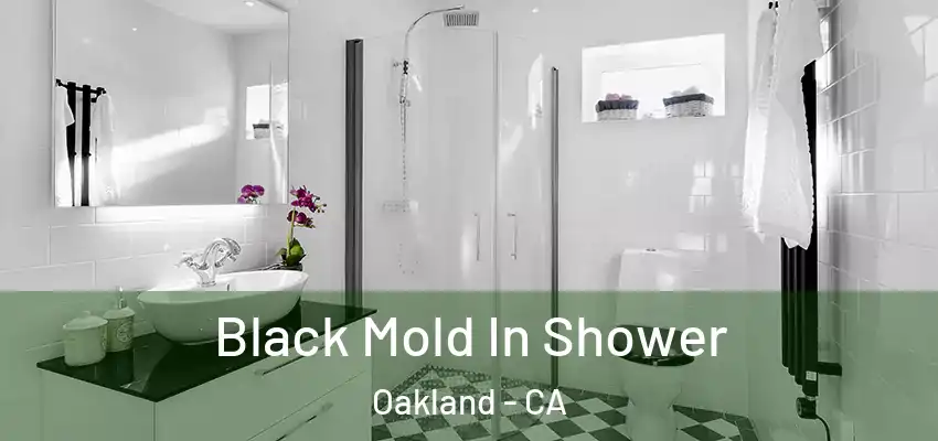  Black Mold In Shower Oakland - CA