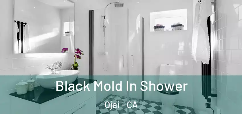  Black Mold In Shower Ojai - CA