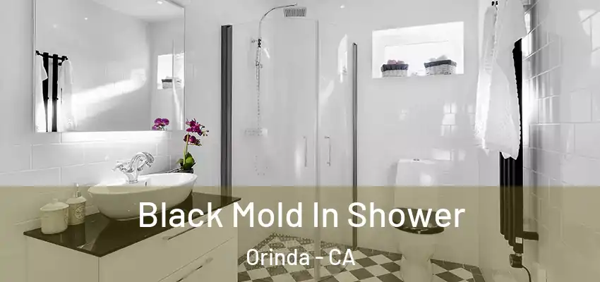  Black Mold In Shower Orinda - CA