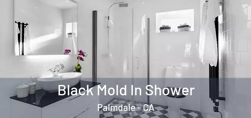  Black Mold In Shower Palmdale - CA