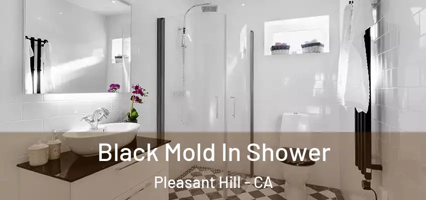  Black Mold In Shower Pleasant Hill - CA
