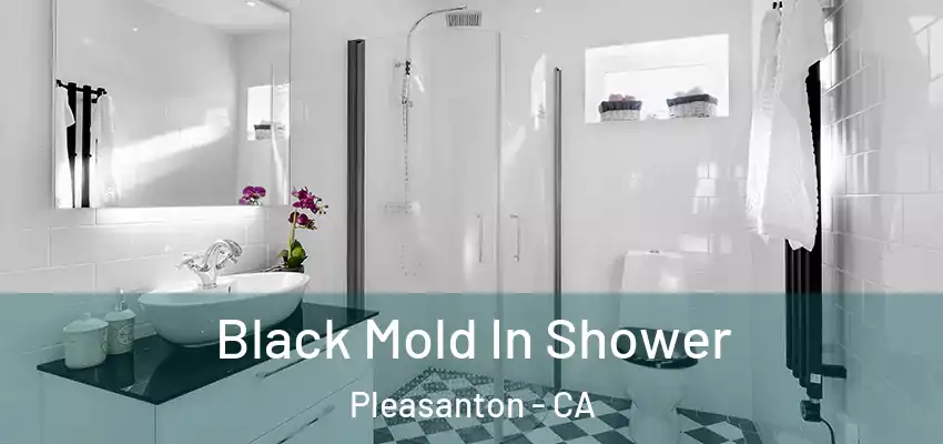  Black Mold In Shower Pleasanton - CA