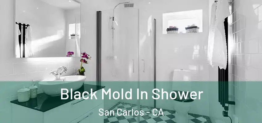  Black Mold In Shower San Carlos - CA