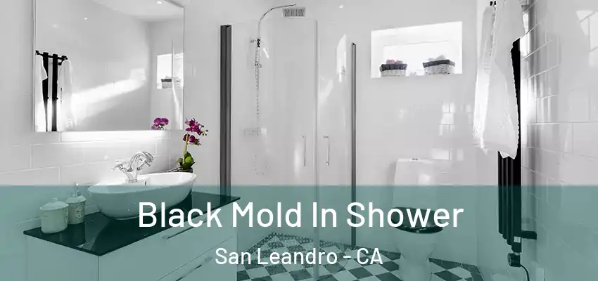  Black Mold In Shower San Leandro - CA