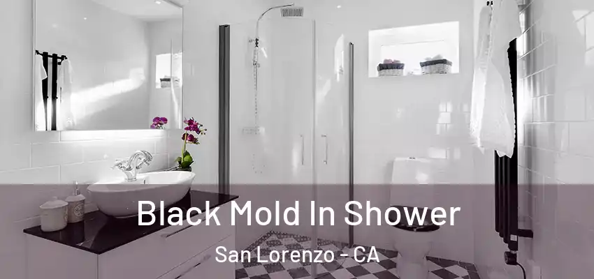  Black Mold In Shower San Lorenzo - CA