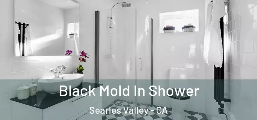  Black Mold In Shower Searles Valley - CA