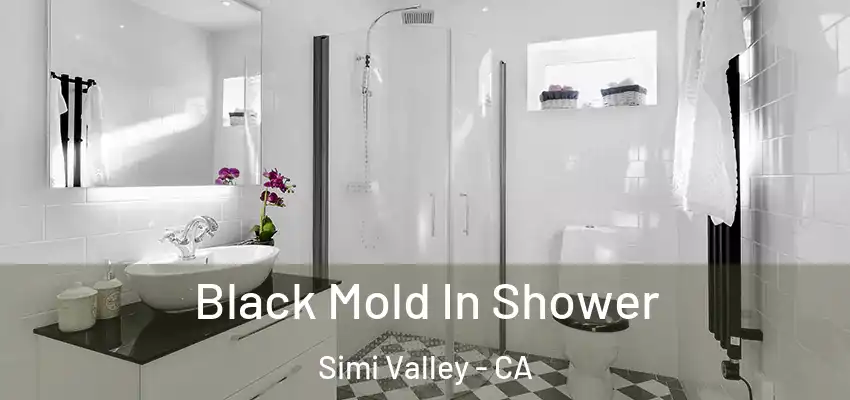  Black Mold In Shower Simi Valley - CA