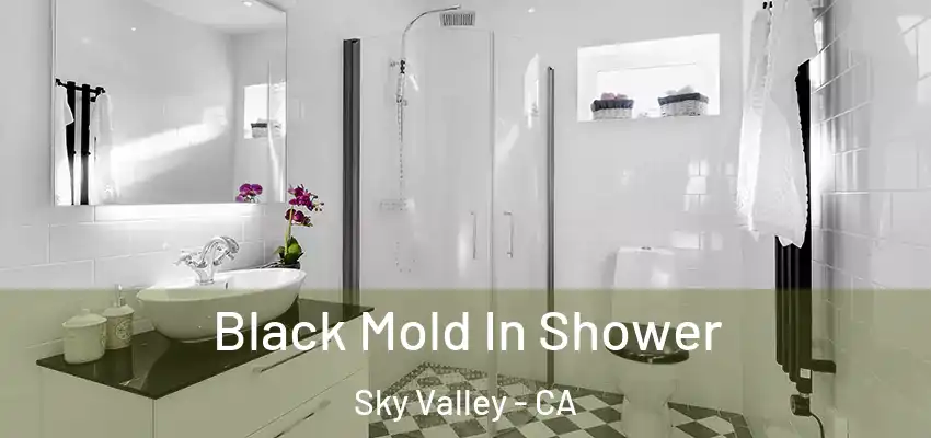  Black Mold In Shower Sky Valley - CA