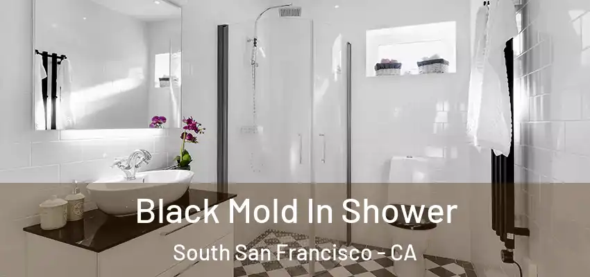  Black Mold In Shower South San Francisco - CA