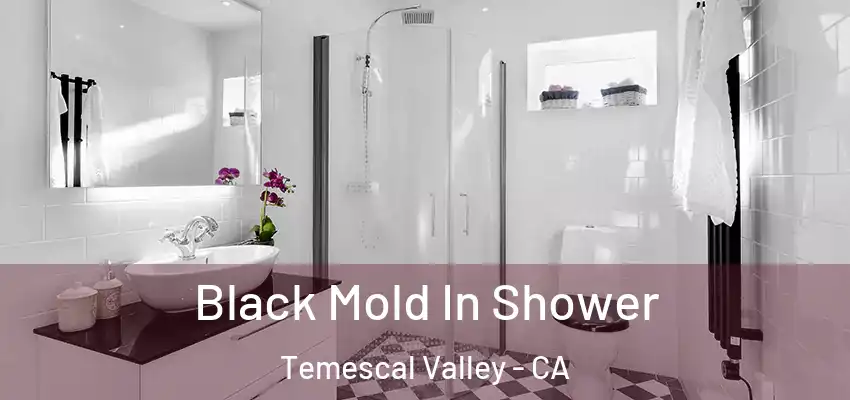  Black Mold In Shower Temescal Valley - CA