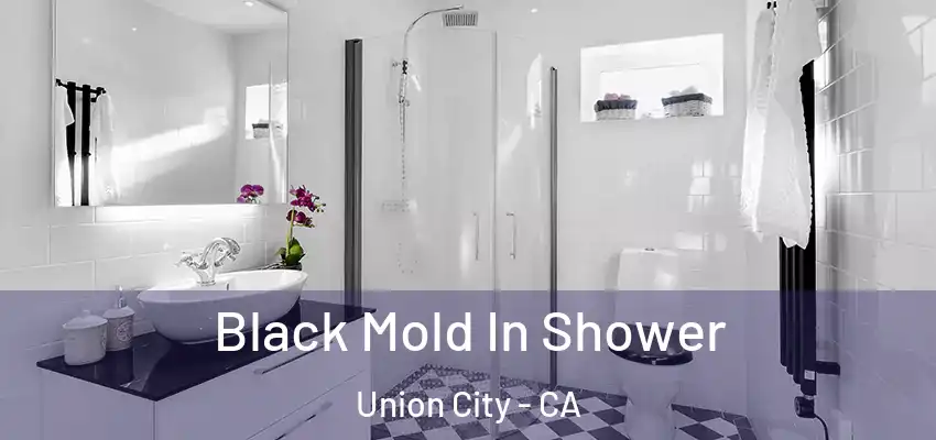  Black Mold In Shower Union City - CA