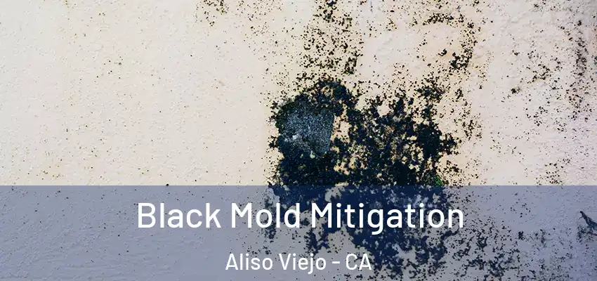  Black Mold Mitigation Aliso Viejo - CA