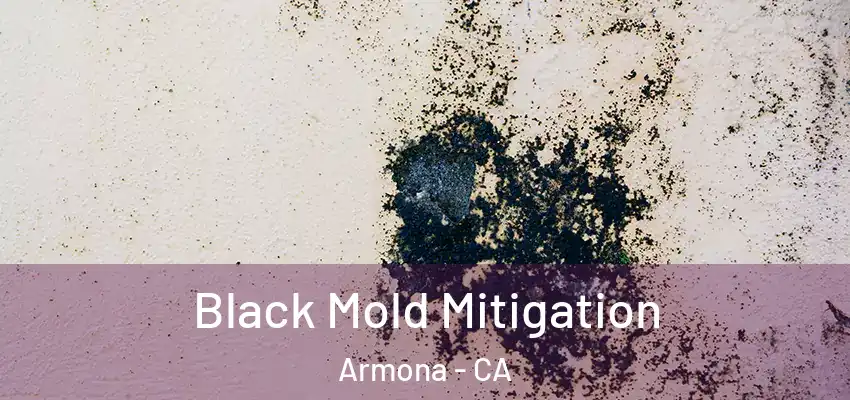  Black Mold Mitigation Armona - CA