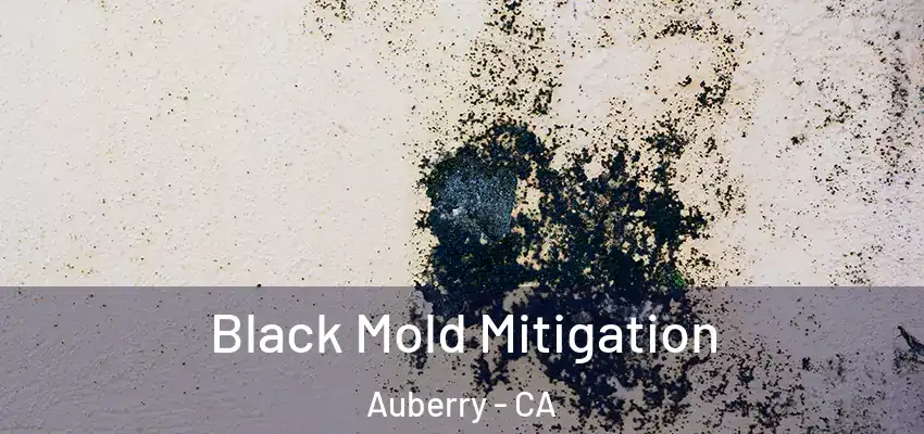 Black Mold Mitigation Auberry - CA