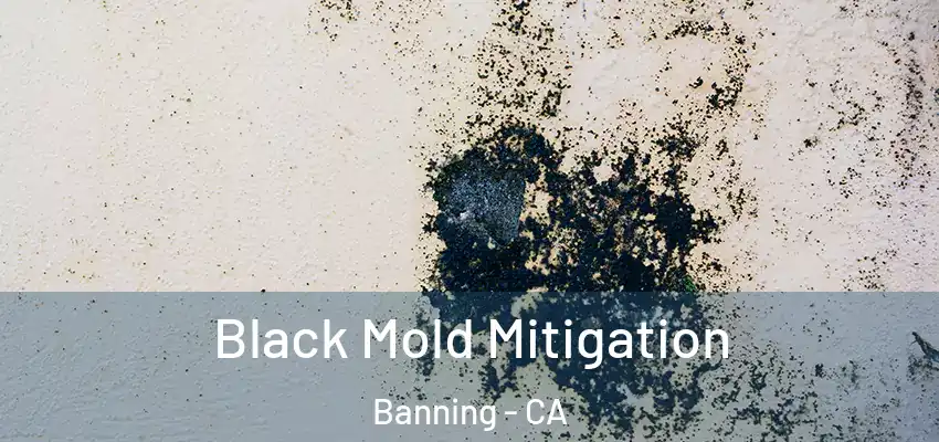  Black Mold Mitigation Banning - CA