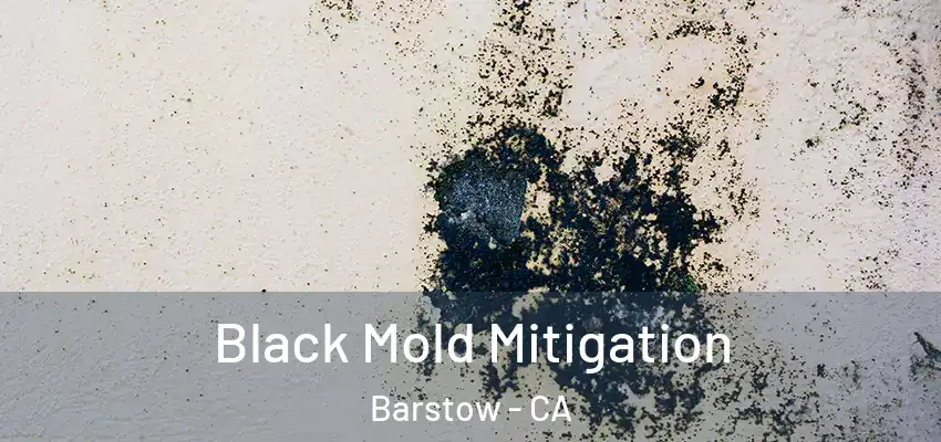  Black Mold Mitigation Barstow - CA