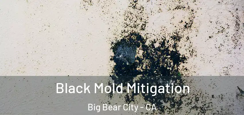  Black Mold Mitigation Big Bear City - CA
