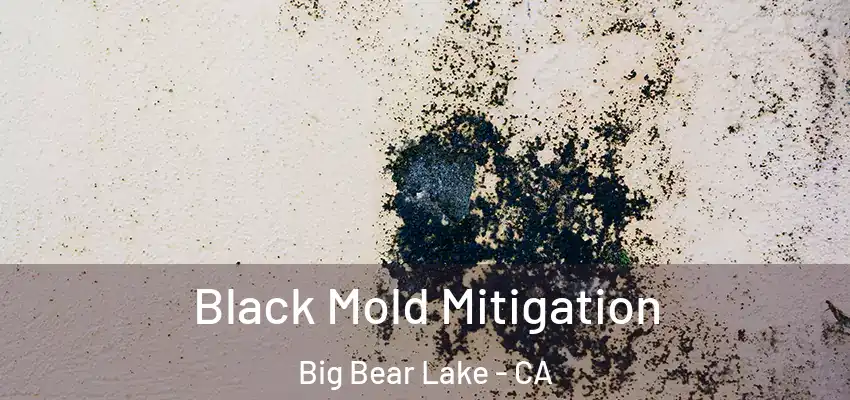  Black Mold Mitigation Big Bear Lake - CA