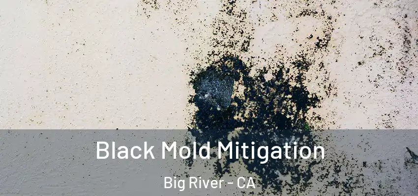  Black Mold Mitigation Big River - CA