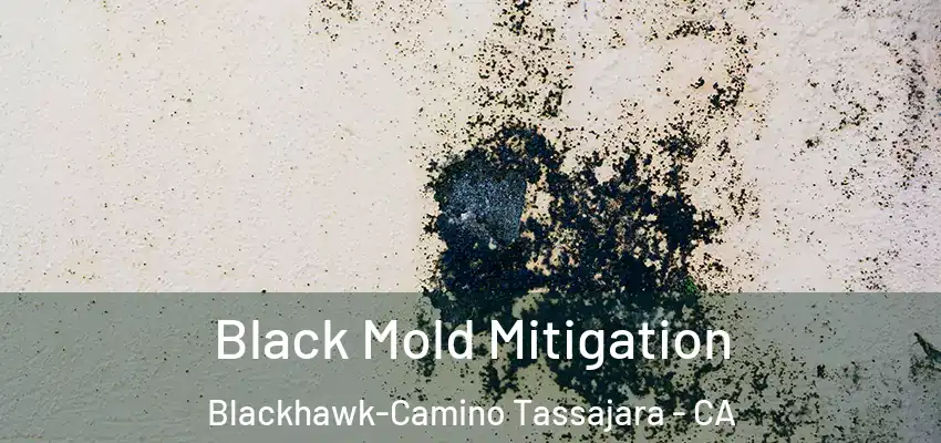  Black Mold Mitigation Blackhawk-Camino Tassajara - CA