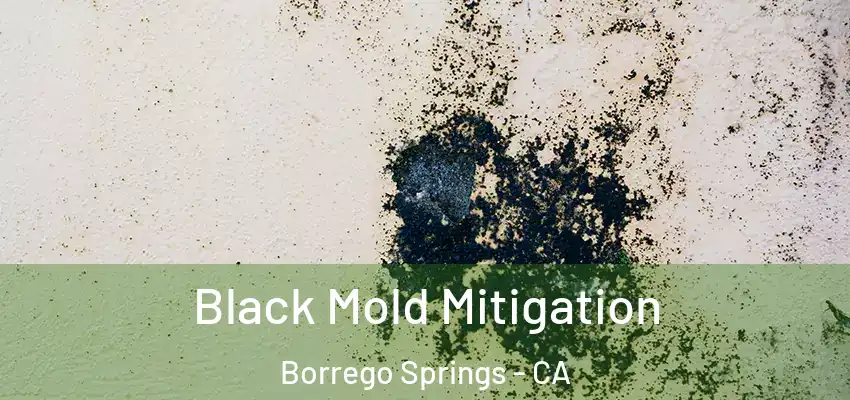  Black Mold Mitigation Borrego Springs - CA