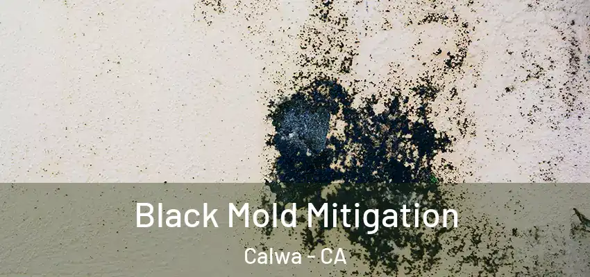  Black Mold Mitigation Calwa - CA
