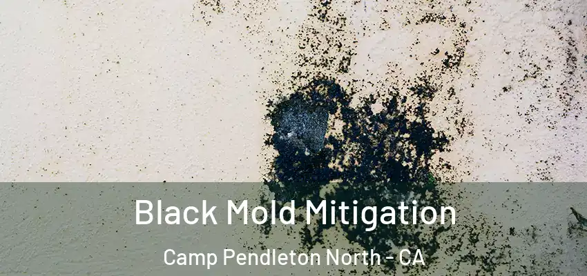  Black Mold Mitigation Camp Pendleton North - CA