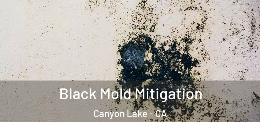  Black Mold Mitigation Canyon Lake - CA