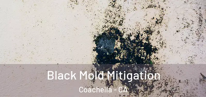  Black Mold Mitigation Coachella - CA