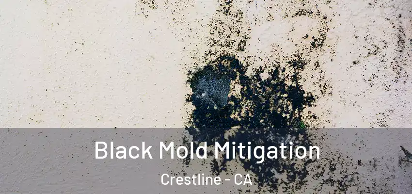  Black Mold Mitigation Crestline - CA